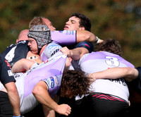 Dings Crusaders v Clifton