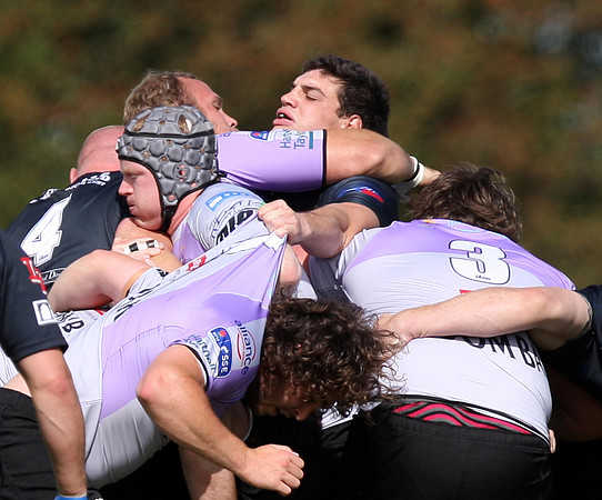 Dings Crusaders v Clifton