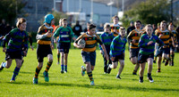 Whitehall U-13s v St Bernadette's U-13s
