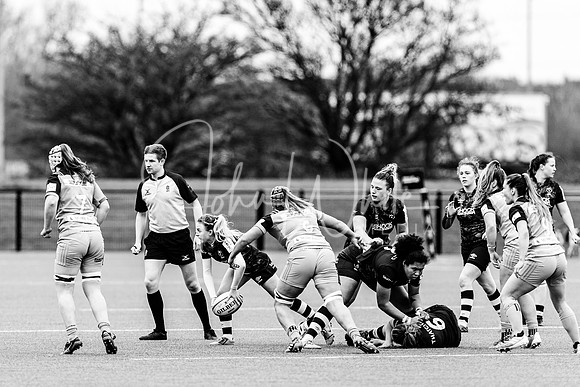 Bristol Bears Women v Harlequins Women 200321