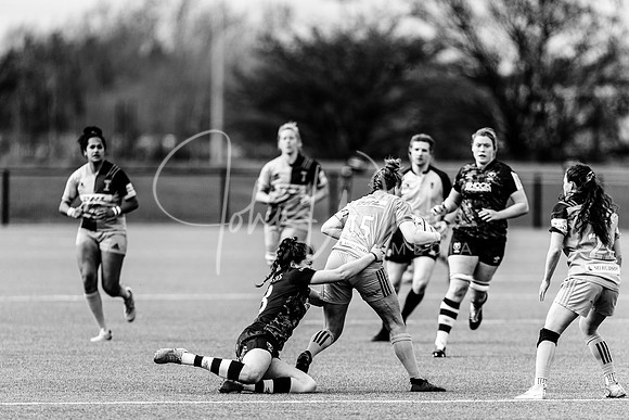 Bristol Bears Women v Harlequins Women 200321