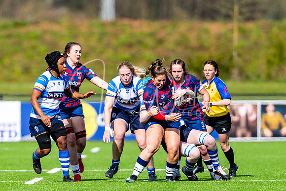 Dings Crusaders Henley Hawks
