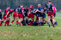 Old Reds v Dings Crusaders 241118