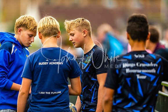 Dings v Luctonians