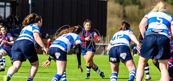 Dings Crusaders Henley Hawks