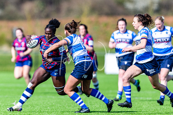 Dings Crusaders Henley Hawks