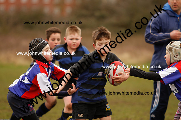 Dings v Sharks U-9s-35