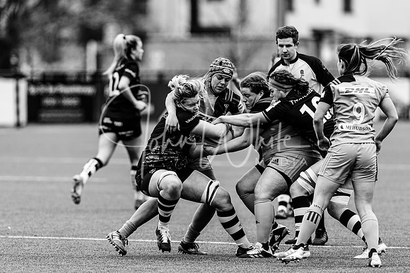 Bristol Bears Women v Harlequins Women 200321