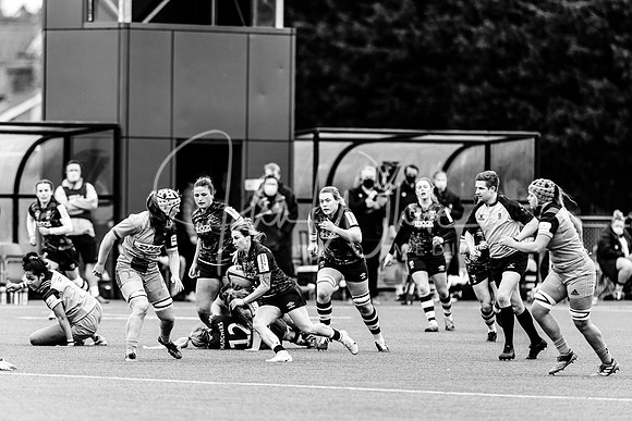 Bristol Bears Women v Harlequins Women 200321