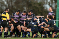 Dings v Clifton-6