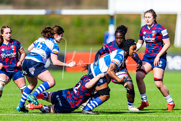 Dings Crusaders Henley Hawks