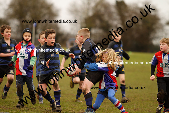 Dings v Sharks U-9s-80