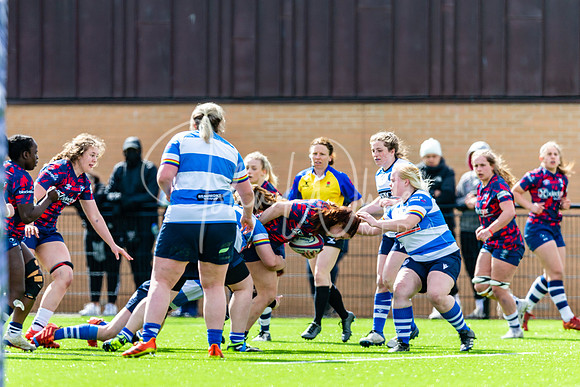 Dings Crusaders Henley Hawks