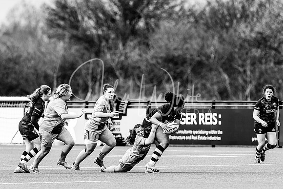 Bristol Bears Women v Harlequins Women 200321