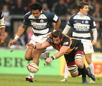 Bristol v Cornish Pirates-6