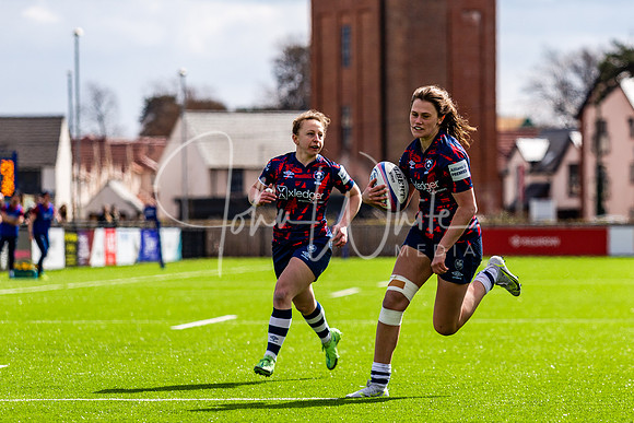 Dings Crusaders Henley Hawks