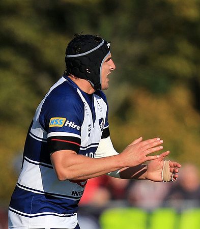 Moseley v Bristol Rugby