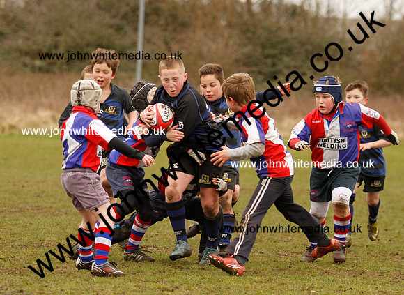 Dings v Sharks U-9s-42