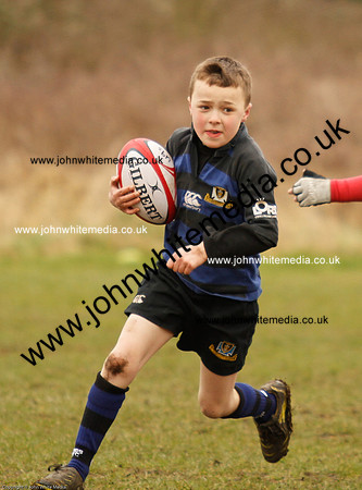 Dings v Sharks U-9s-30