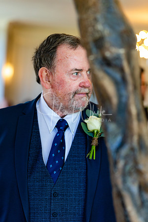 The wedding of Lydia & Joe Hall 110419