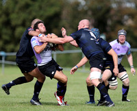 Dings Crusaders v Clifton