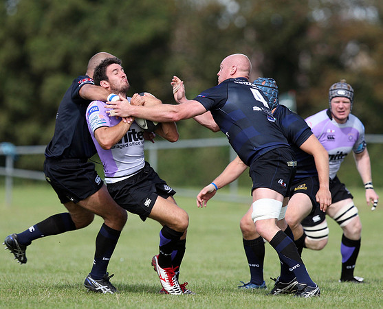 Dings Crusaders v Clifton