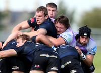 Dings Crusaders v Clifton