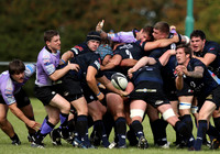 Dings Crusaders v Clifton