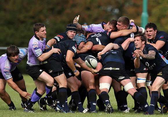 Dings Crusaders v Clifton