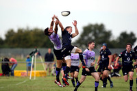 Dings Crusaders v Clifton