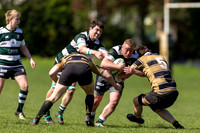 Saracens vs Cotham Park 180426