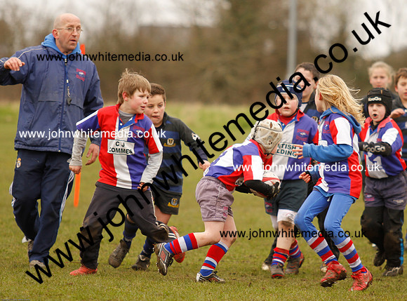 Dings v Sharks U-9s-65