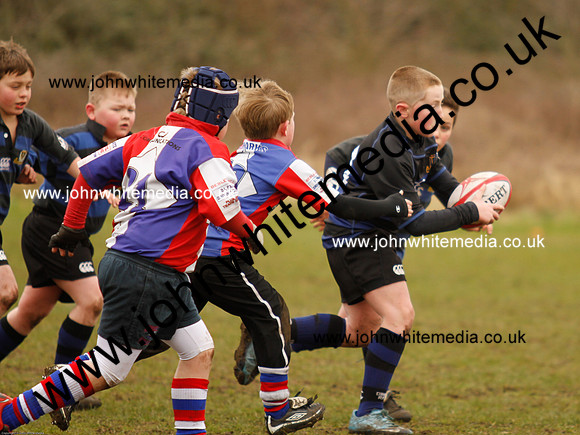 Dings v Sharks U-9s-39