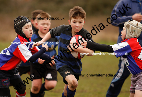 Dings v Sharks U-9s-36