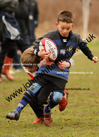 Dings v Sharks U-9s-49
