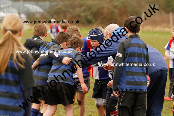 Dings v Sharks U-9s-76