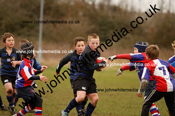 Dings v Sharks U-9s-41