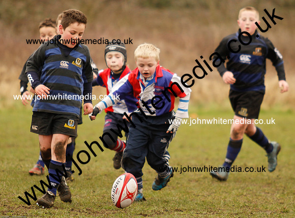 Dings v Sharks U-9s-38