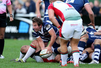 Plymouth Albion v Bristol Rugby