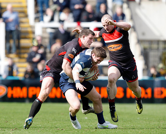 Newcastle Falcons v Bristol Rugby