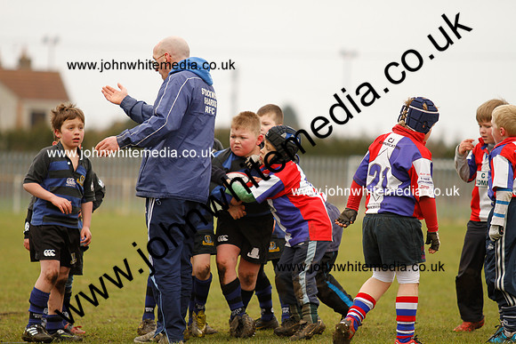 Dings v Sharks U-9s-53