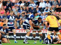 Bristol Rugby v Cornish Pirates
