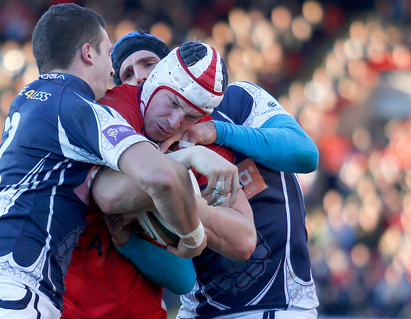 Bristol Rugby v Yorkshire Carnegie 180115