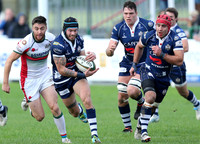 Plymouth Albion v Bristol Rugby