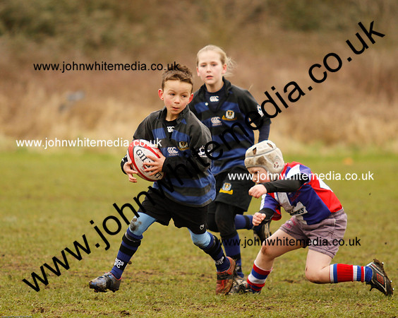 Dings v Sharks U-9s-47