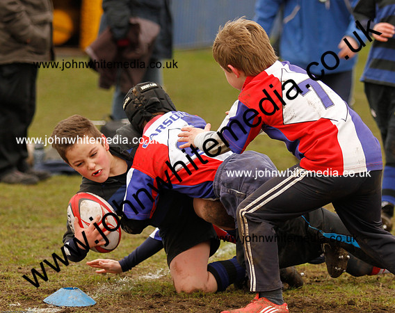 Dings v Sharks U-9s-62