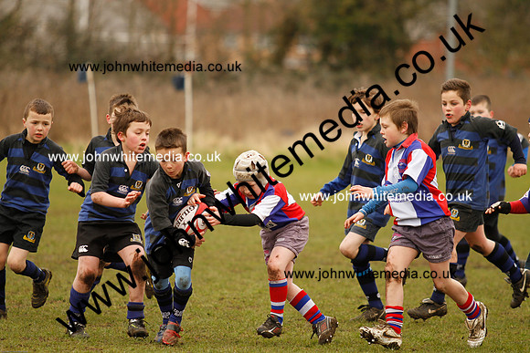 Dings v Sharks U-9s-56