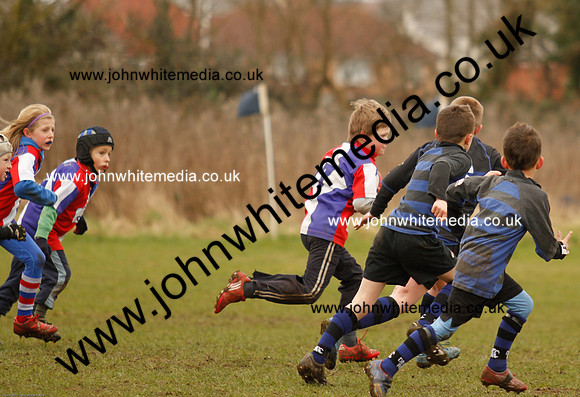 Dings v Sharks U-9s-77