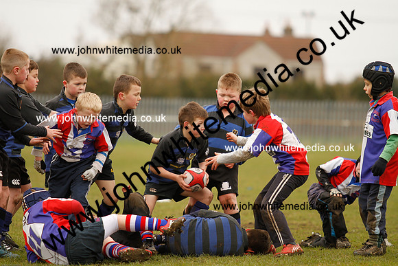 Dings v Sharks U-9s-52