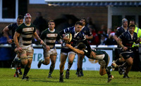 Ealing Trailfinders v Bristol Rugby 211213